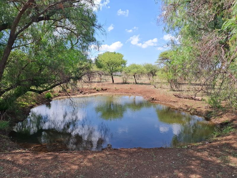 Small Holding for Sale just outside Bela Bela - Photo 9