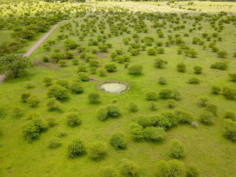 Small Holding for Sale just outside Bela Bela - Photo 8