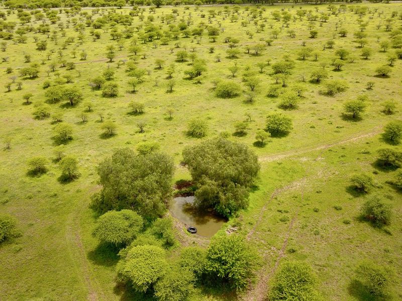 Small Holding for Sale just outside Bela Bela - Photo 7