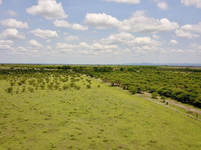 Small Holding for Sale just outside Bela Bela - Photo 6