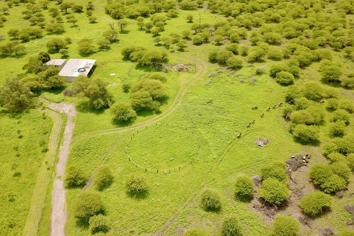 Small Holding for Sale just outside Bela Bela - Photo 5