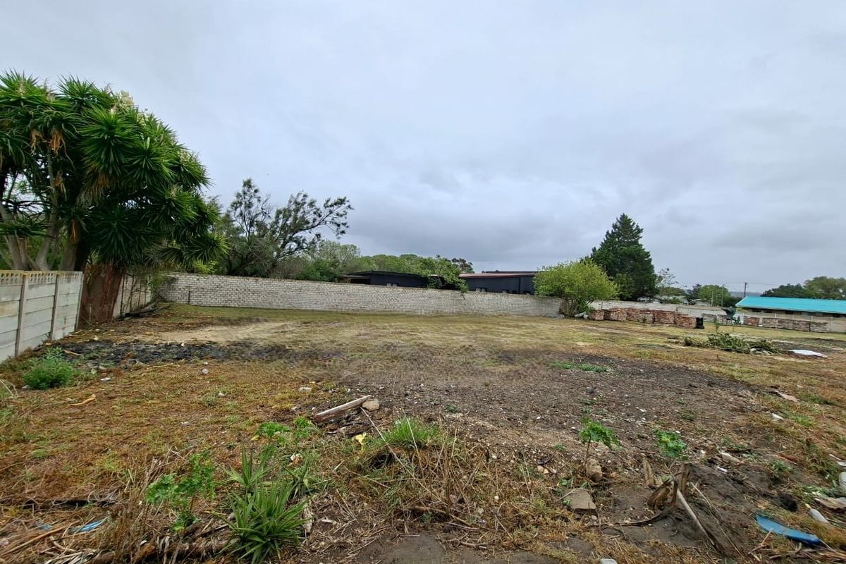 Large, Prime vacant stand centrally situated in the Garden Route - Photo 2