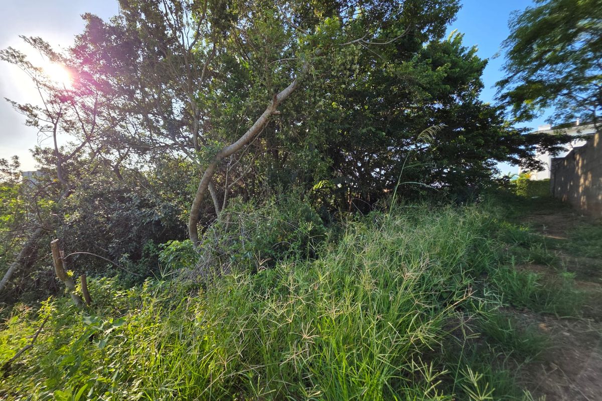 Prime Vacant Land Opportunity in the Heart of Salt Rock – Build Your Coastal Dream - Photo 3