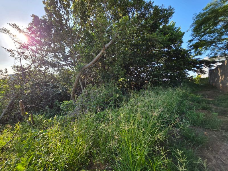 Prime Vacant Land Opportunity in the Heart of Salt Rock – Build Your Coastal Dream - Photo 3