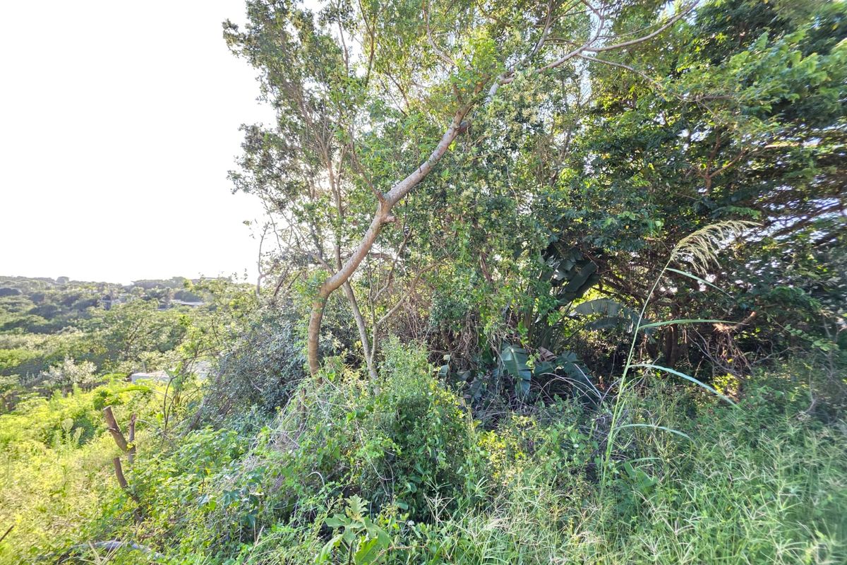 Prime Vacant Land Opportunity in the Heart of Salt Rock – Build Your Coastal Dream - Photo 4