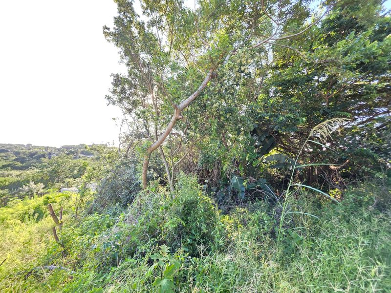 Prime Vacant Land Opportunity in the Heart of Salt Rock – Build Your Coastal Dream - Photo 4
