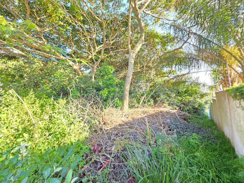Prime Vacant Land Opportunity in the Heart of Salt Rock – Build Your Coastal Dream - Photo 8