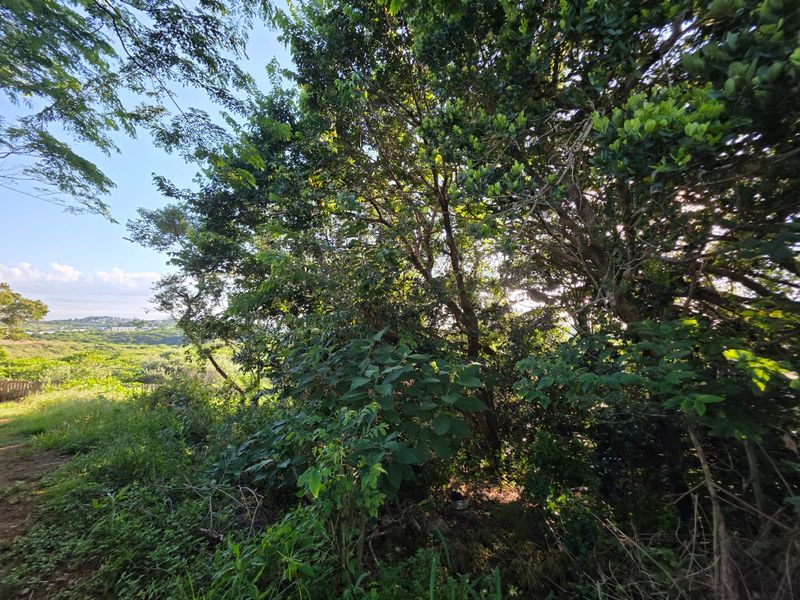 Prime Vacant Land Opportunity in the Heart of Salt Rock – Build Your Coastal Dream - Photo 6