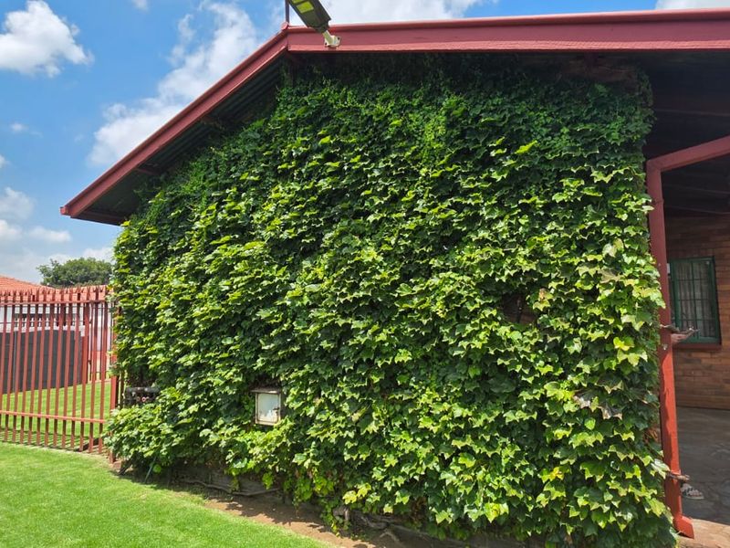 Charming 3-Bedroom Home with Borehole & ALL Furniture Included – CW4. - Photo 8