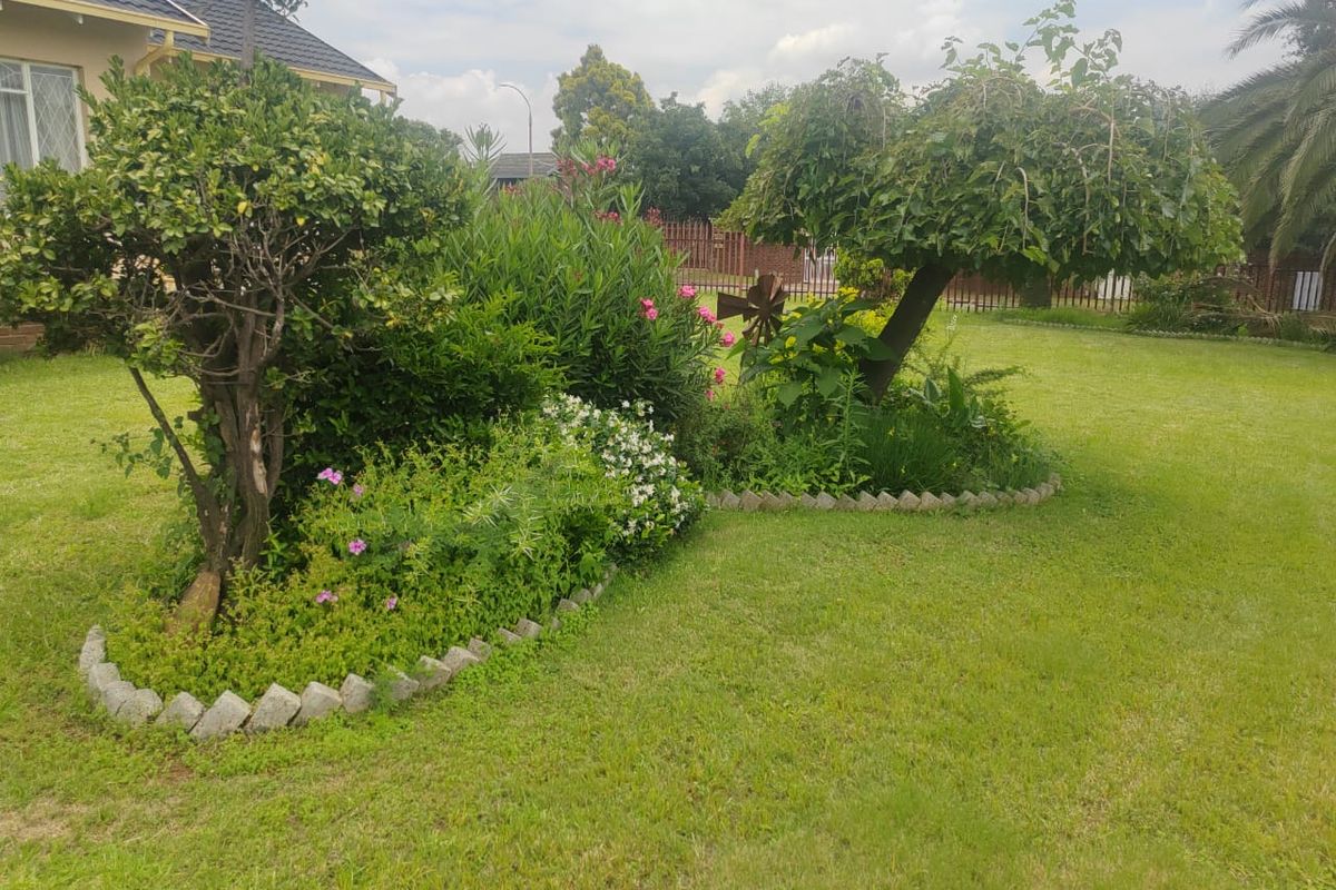 3 bedroom family house in Freeway Park,1269m2 - Photo 5