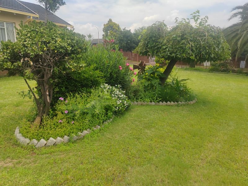 3 bedroom family house in Freeway Park,1269m2 - Photo 5