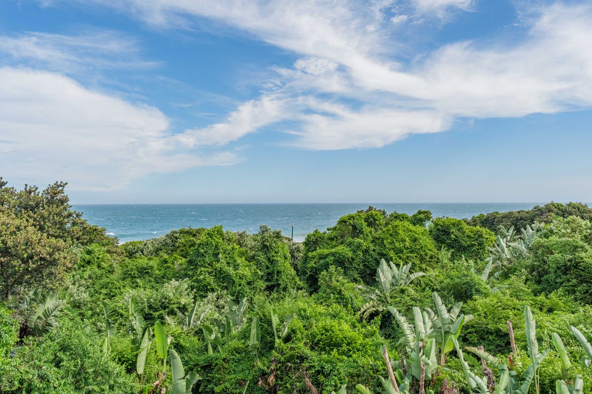 Ultra-Luxury Beachfront Living in Zimbali Beach Estate - Photo 3