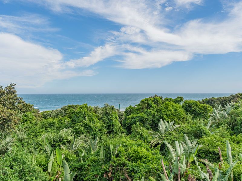 Ultra-Luxury Beachfront Living in Zimbali Beach Estate - Photo 3