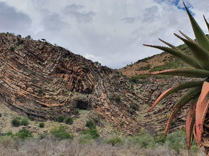 KAROO BUSINESS & LIFESTYLE OPPORTUNITY – Good ental incom possiblity - Photo 7