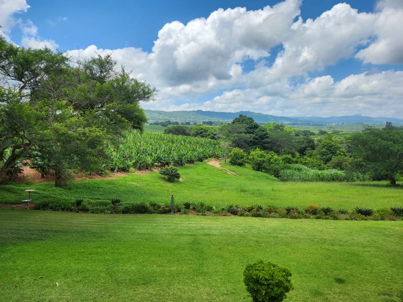 12,933 HA BANANA PROPERTY OFFERING THE BEST OF BOTH WORLDS - Photo 2