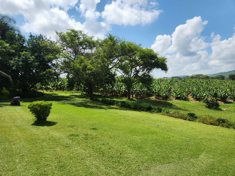 12,933 HA BANANA PROPERTY OFFERING THE BEST OF BOTH WORLDS - Photo 3