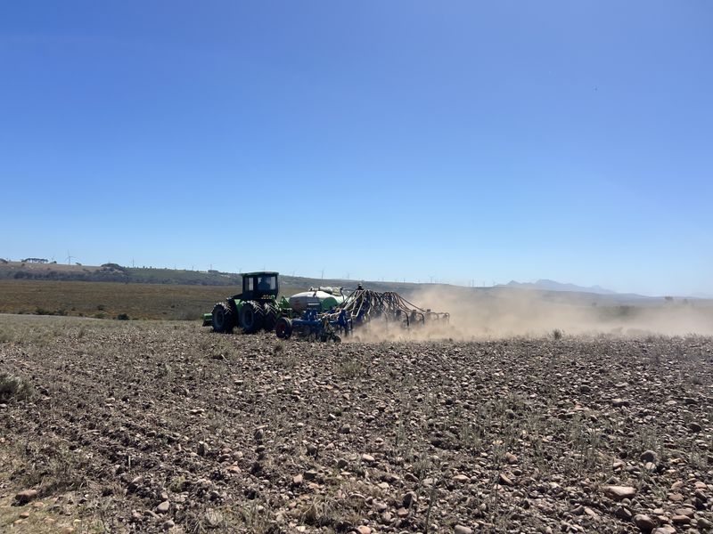 Agricultural and Investment Farm, Humansdorp - Photo 9
