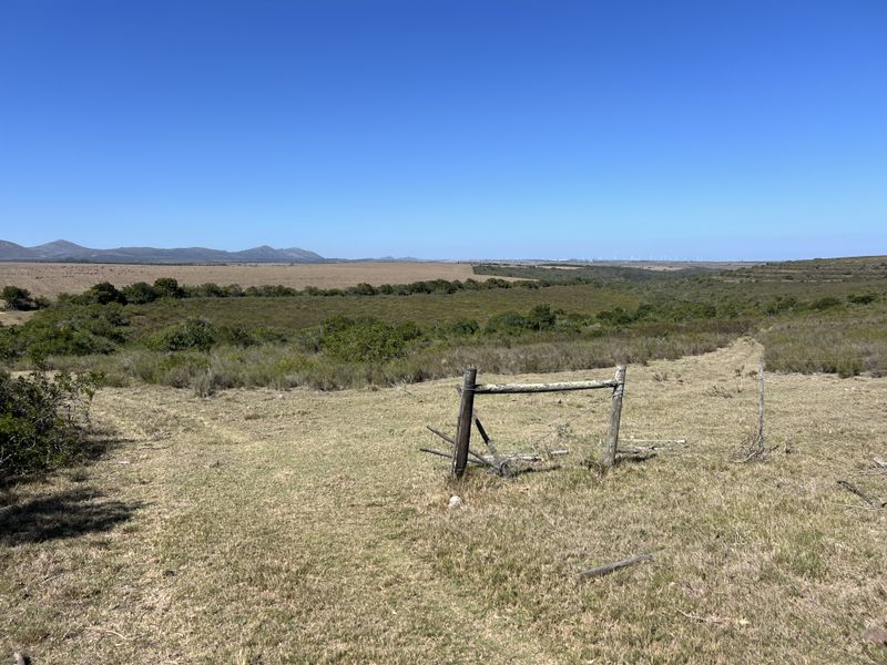 Agricultural and Investment Farm, Humansdorp - Photo 6