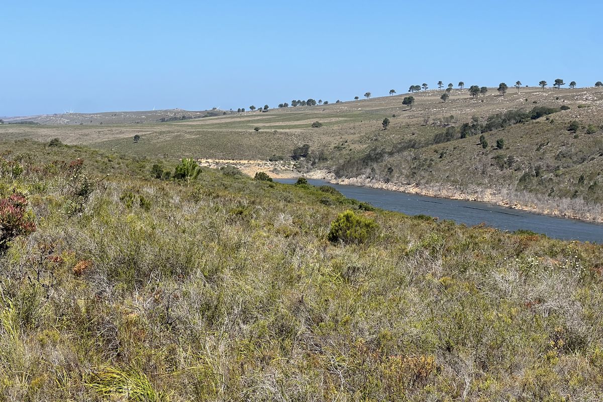 Agricultural and Investment Farm, Humansdorp - Photo 2