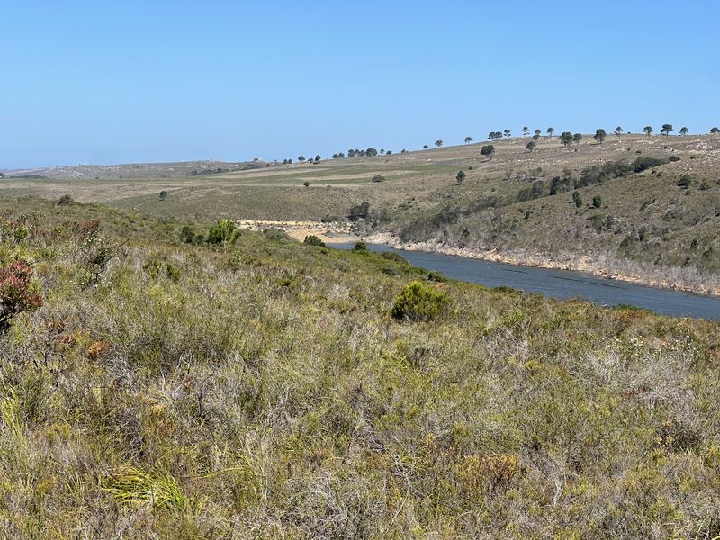 Agricultural and Investment Farm, Humansdorp - Photo 2