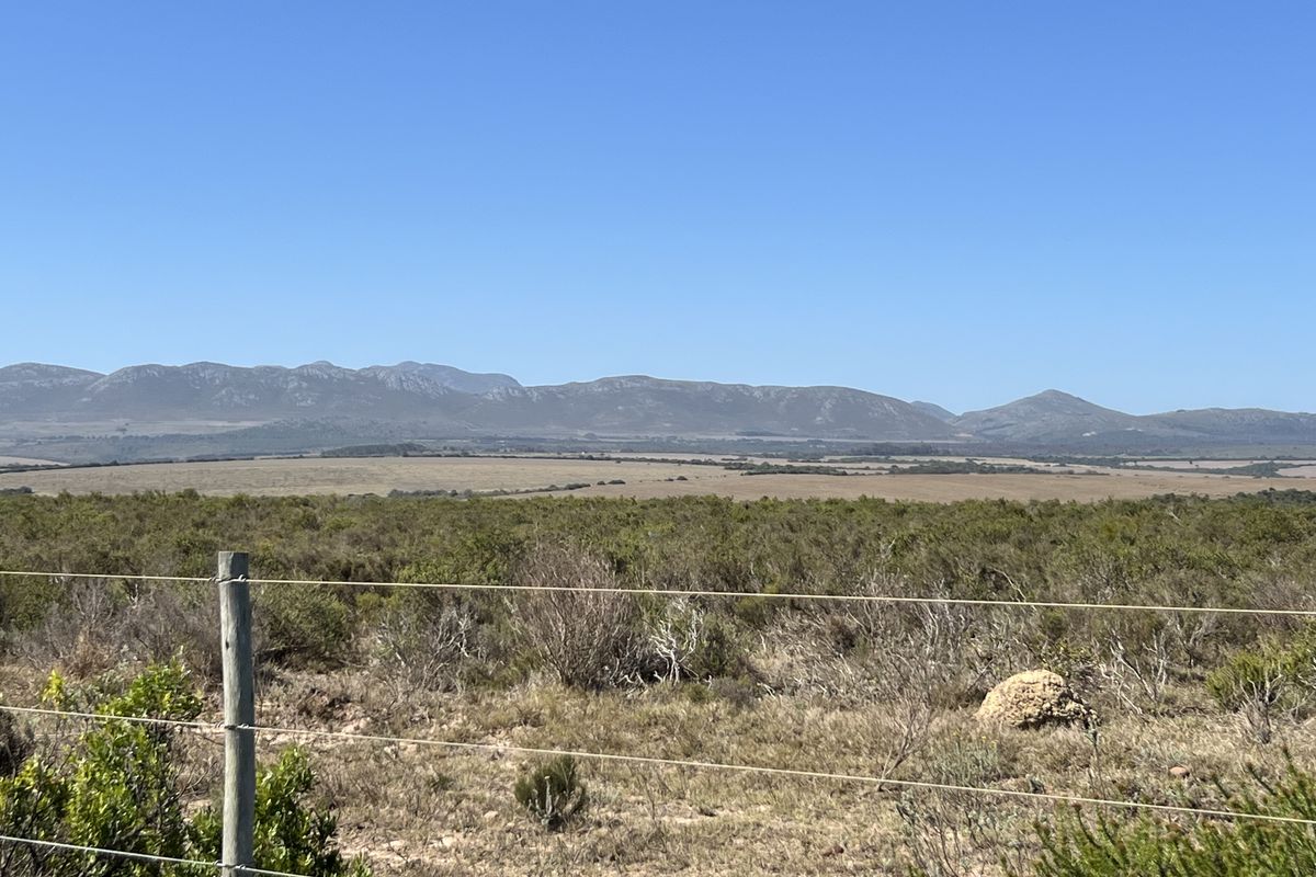 Agricultural and Investment Farm, Humansdorp - Photo 5
