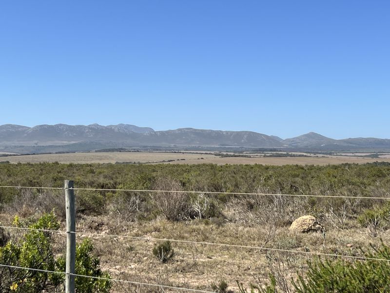 Agricultural and Investment Farm, Humansdorp - Photo 5