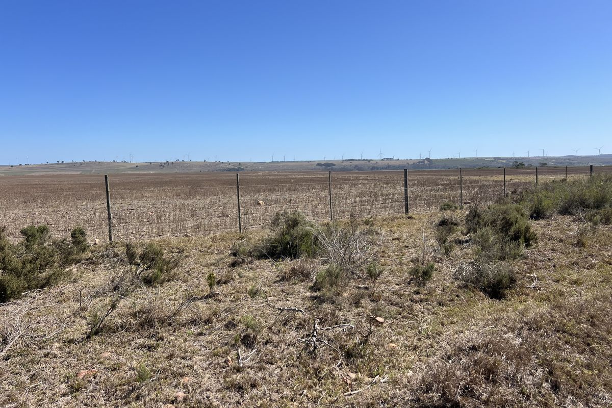 Agricultural and Investment Farm, Humansdorp - Photo 4