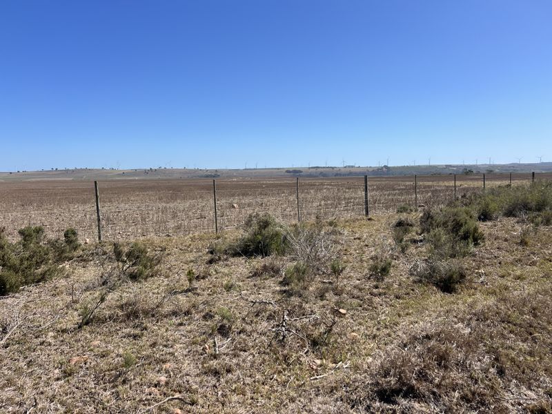 Agricultural and Investment Farm, Humansdorp - Photo 4