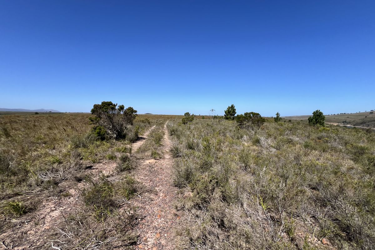 Agricultural and Investment Farm, Humansdorp - Photo 3