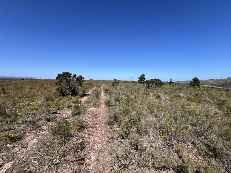 Agricultural and Investment Farm, Humansdorp - Photo 3