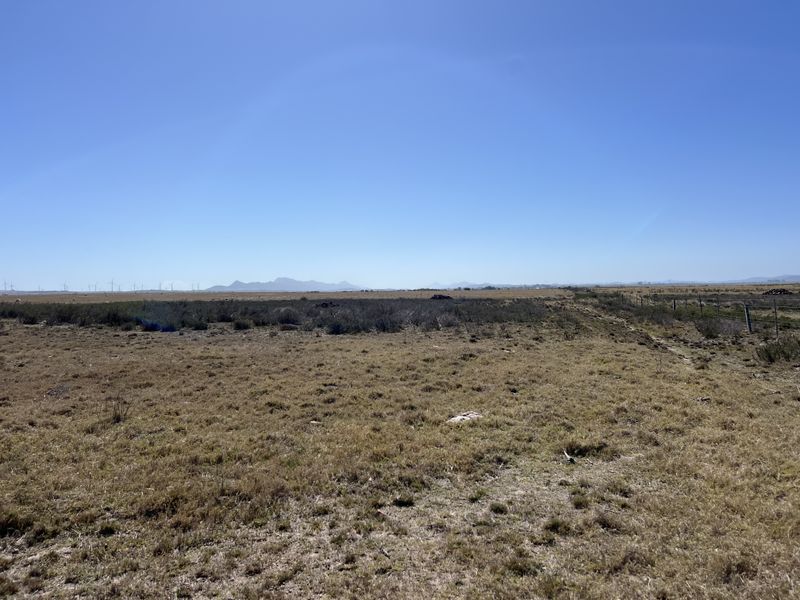 Agricultural and Investment Farm, Humansdorp - Photo 10