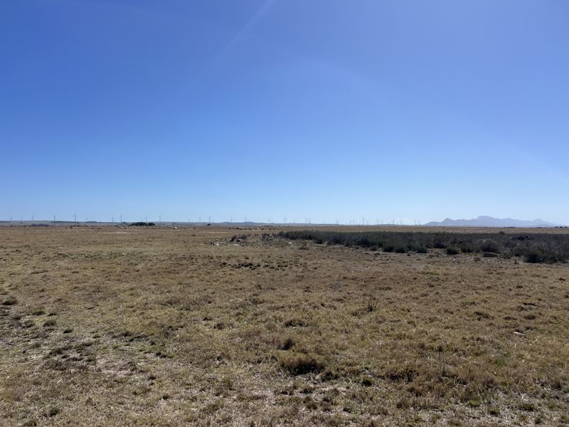 Agricultural and Investment Farm, Humansdorp - Photo 7