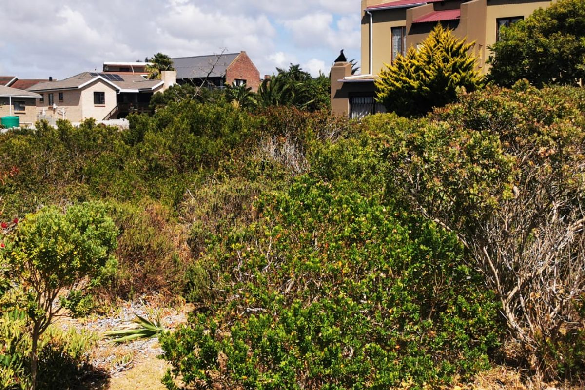 Prime Noorsekloof Erf for Sale - Photo 3