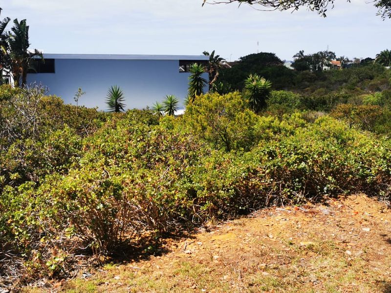 Prime Noorsekloof Erf for Sale - Photo 10