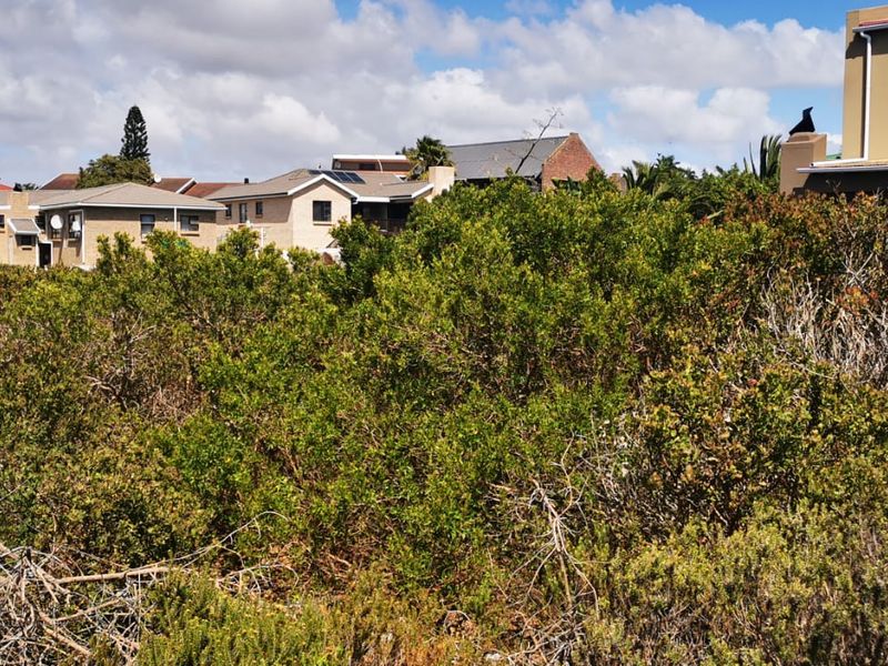 Prime Noorsekloof Erf for Sale - Photo 6