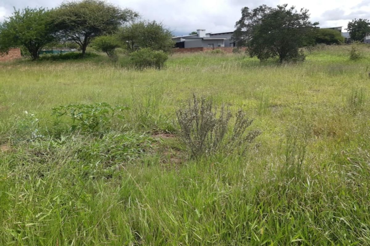 Prime Vacant Stand in The Ridge – Exceptional Value - Photo 5