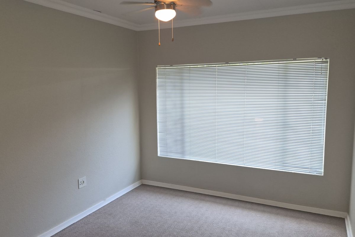 A clean, empty bedroom featuring neutral wall paint, carpeted flooring, a ceiling fan, and a large window with fitted blinds.