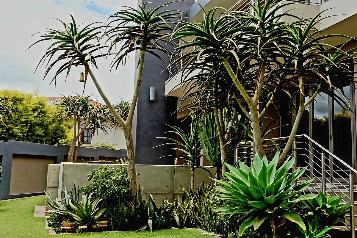 A modern rear exterior view featuring a landscaped garden, concrete boundary wall, and a tiled staircase with stainless steel balustrades leading to the home.