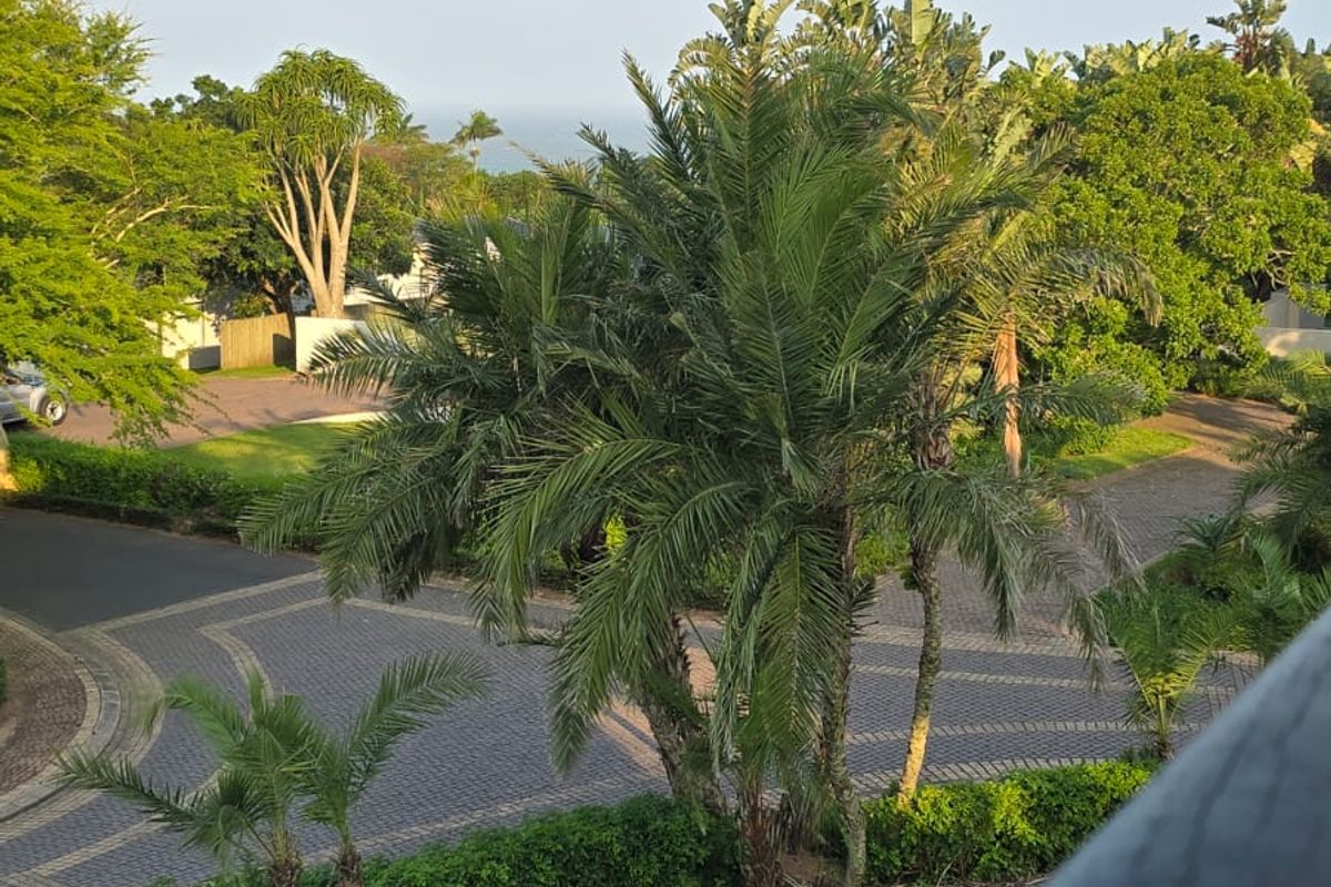 Elegant Coastal Estate Living in Nkwazi Ridge - Photo 5