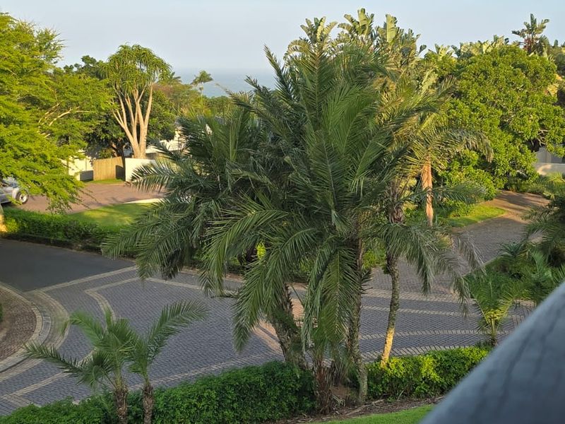 Elegant Coastal Estate Living in Nkwazi Ridge - Photo 5