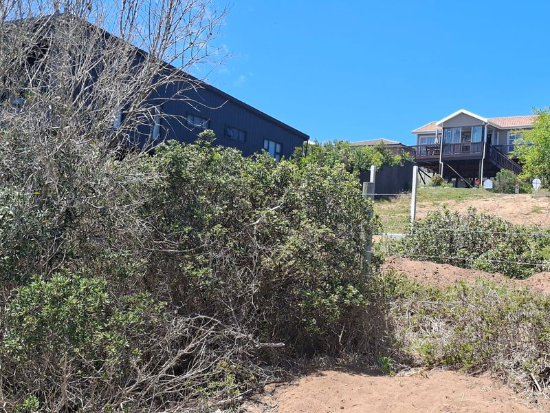 A Great, north facing vacant stand - Photo 3