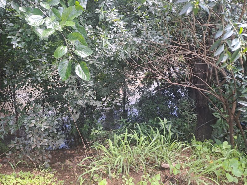 RISIVILLE RARE FIND: 9-HECTARE AGRI-BUSINESS OPPORTUNITY FOR SALE AT R5 MILLION! - Photo 9