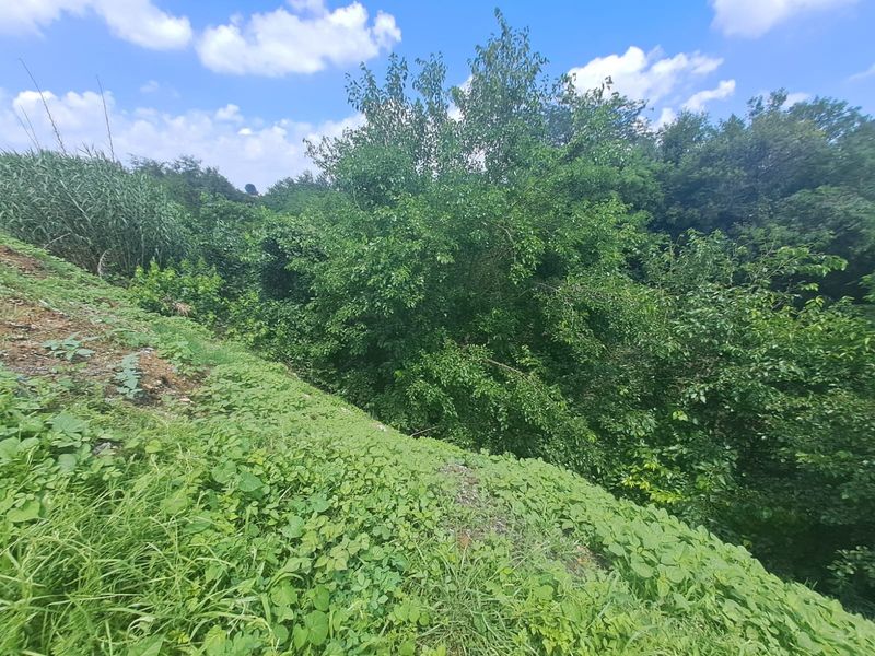 RISIVILLE RARE FIND: 9-HECTARE AGRI-BUSINESS OPPORTUNITY FOR SALE AT R5 MILLION! - Photo 7