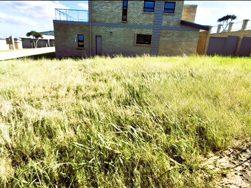 A view of a residential plot featuring overgrown grass with an adjacent brick building and boundary wall.