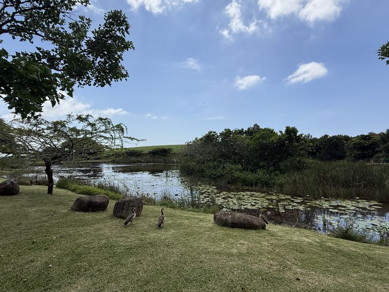 Level land in a secure Estate - Photo 10