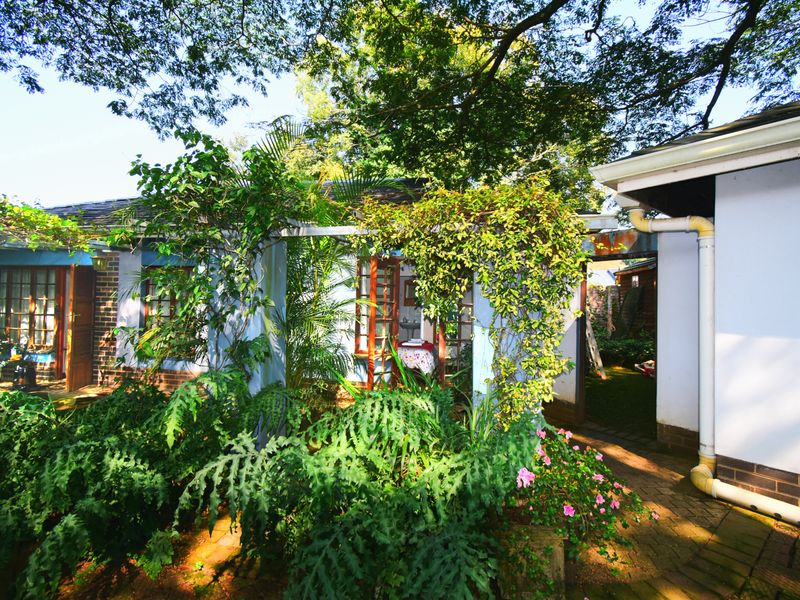 ELEGANTLY SPACIOUS HOME WITH INCOME GENERATOR - Photo 5