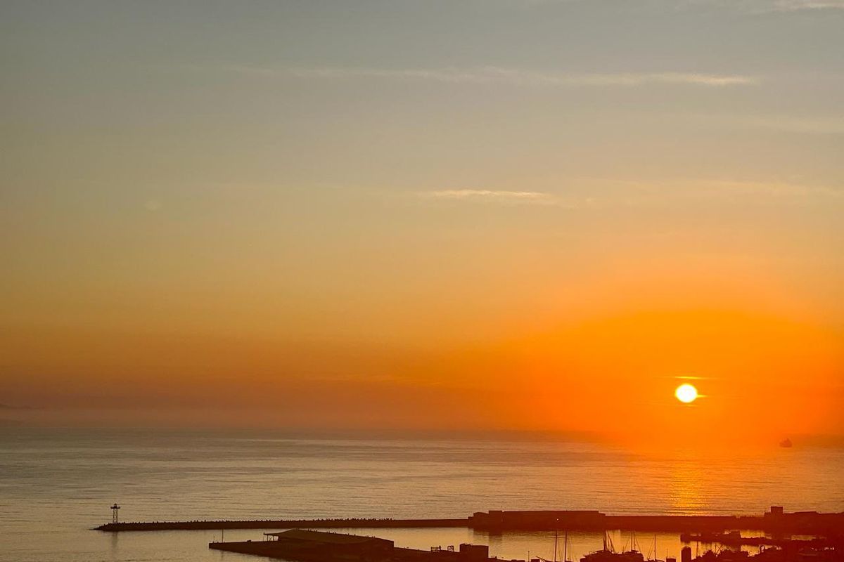 Visionary opportunity - Photo 5