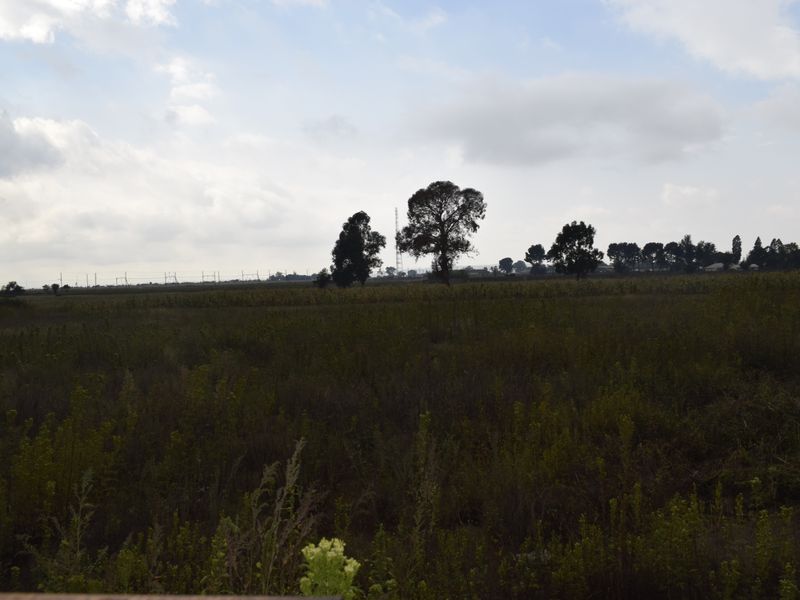Large plot for sale in Mapleton!!! - Photo 10
