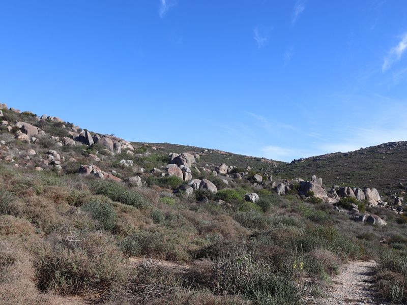 Stunning vacant land for sale in Steenberg Cove, St Helena Bay - Photo 10