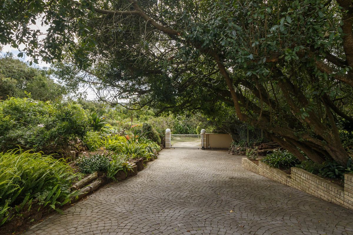 Experience Tranquil Living in this Serene Oasis in Port Alfred - Photo 5